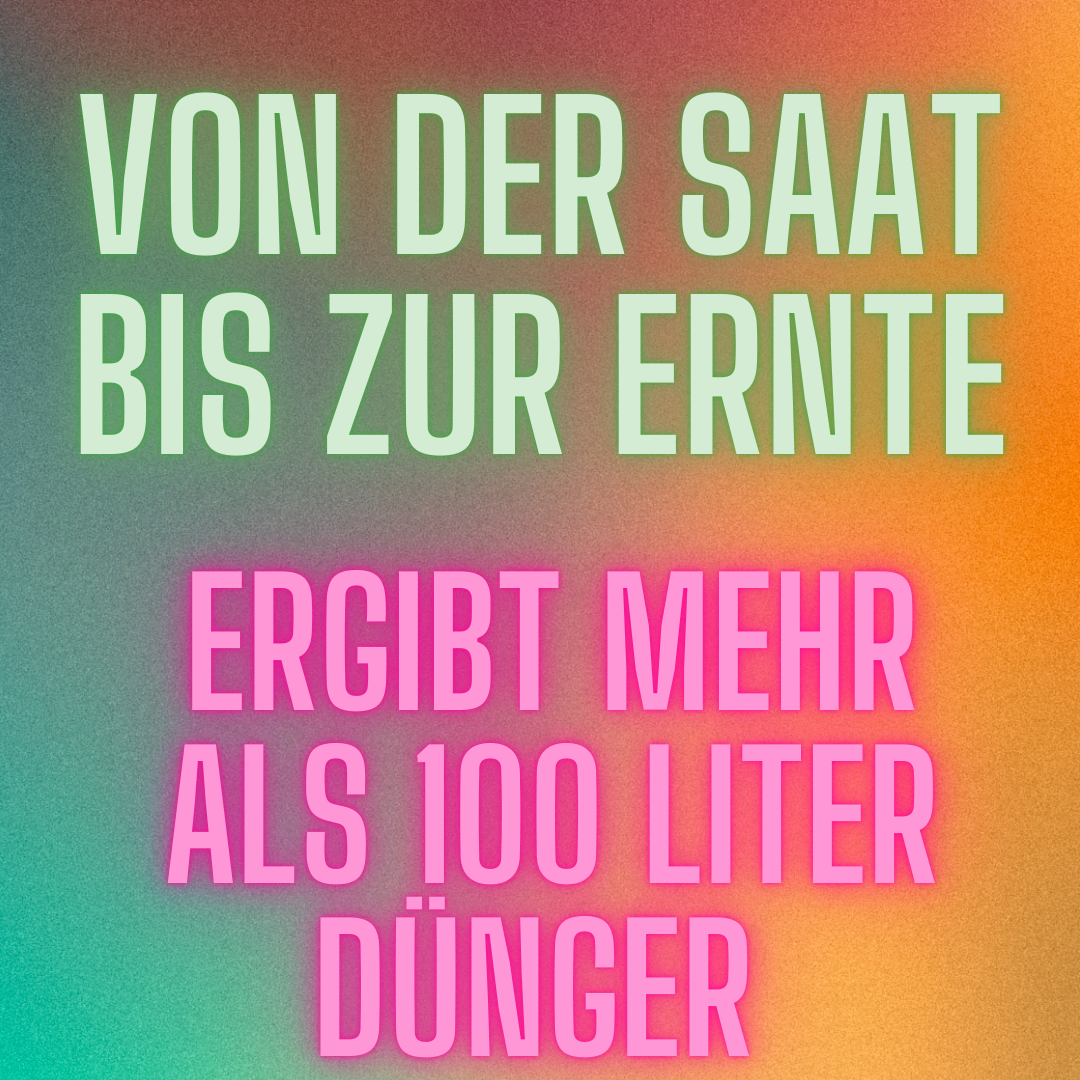 Hanfstoff Cannabis Universaldünger 1001 ml - Konzentrat - ergibt mehr als 100 Liter.