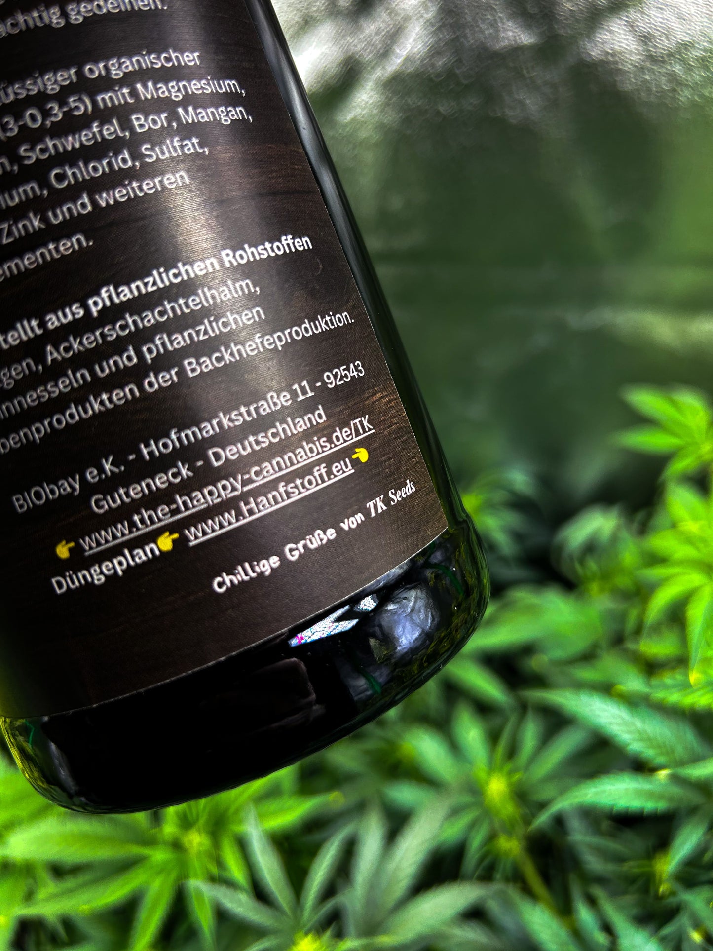 TK Seeds Cannabis Samen Breeder