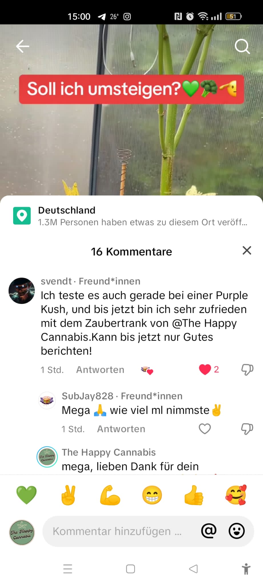 Zaubertrank Cannabispflanze. Dünger für Cannabis