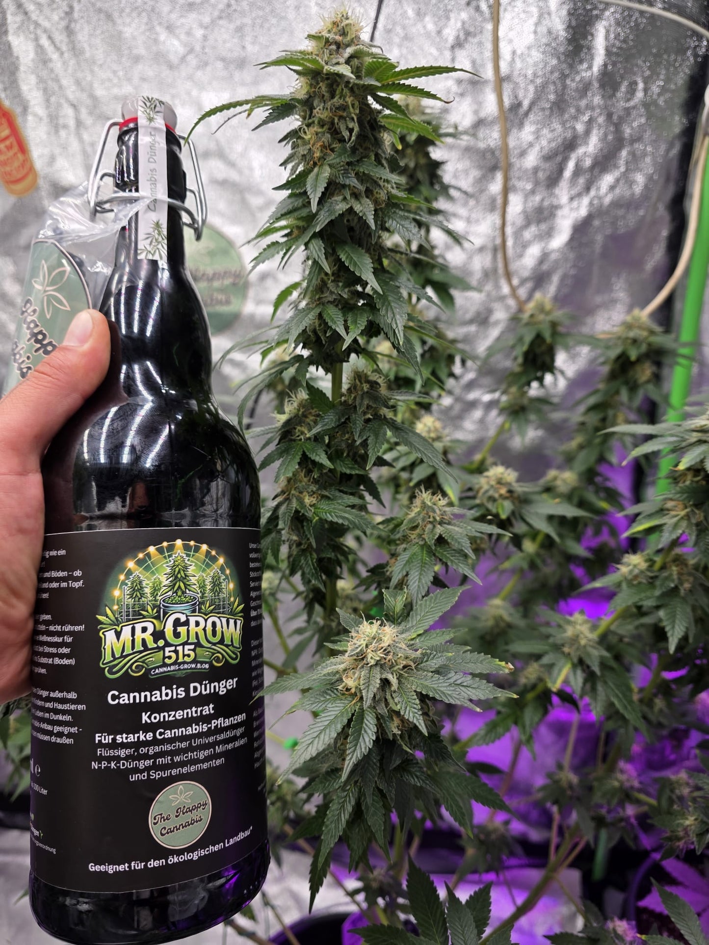 Universaldünger für Cannabis Mr.Grow Edition